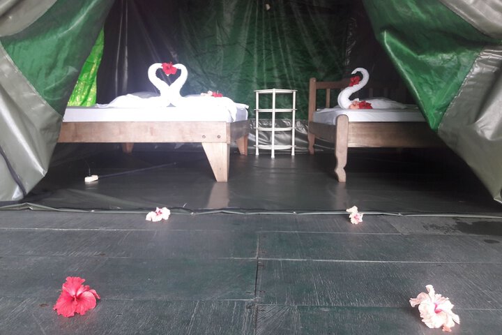Room 4 of 55
