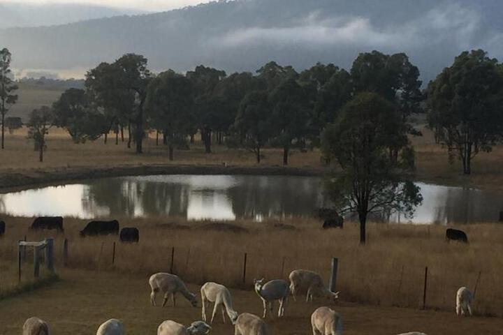 Exterior of Starline Alpacas Farmstay Resort