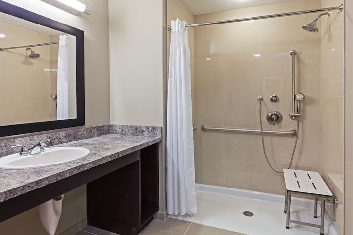 1 King Bed Accessible (9 of 12)