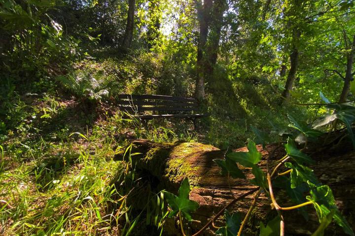 General 13 of 42