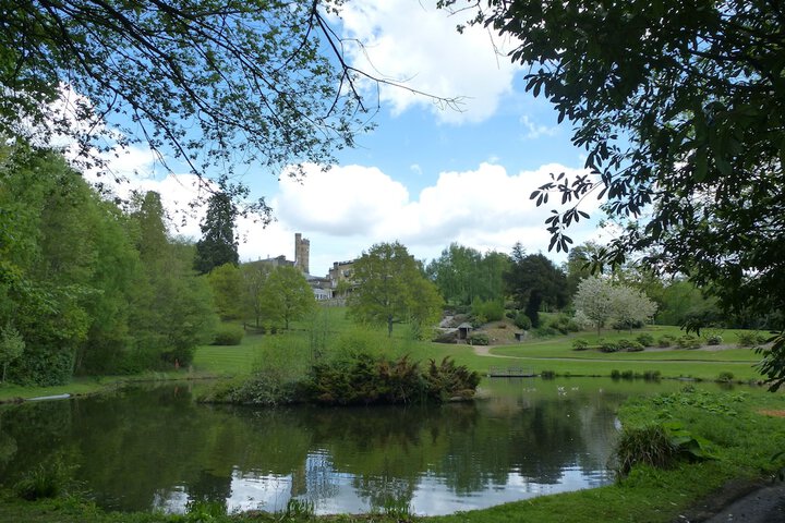 Accommodation at Salomons Estate