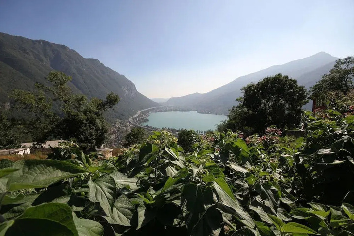 General 23 of 31