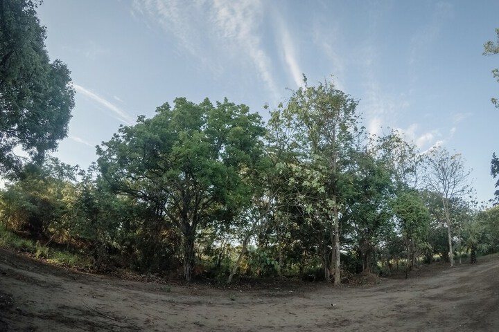 Property Grounds 29 of 51