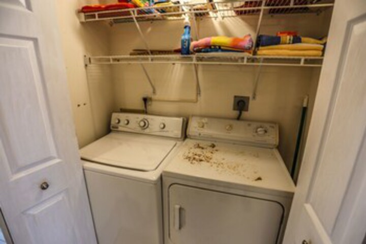 Laundry 11 of 24