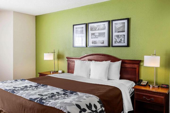 1 Queen Bed Accessible (9 of 13)