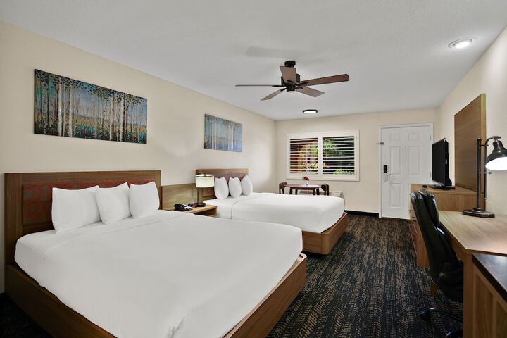Room 16 of 42