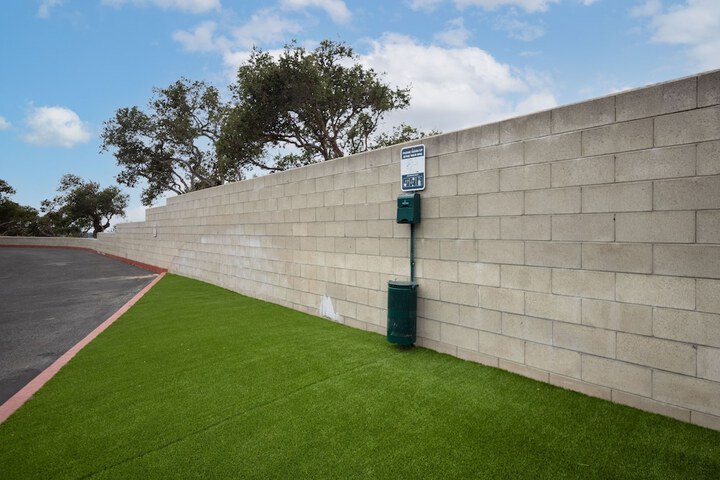 Pet Friendly 49 of 77