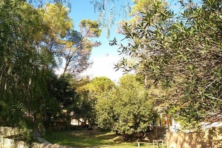 Property Grounds 43 of 47