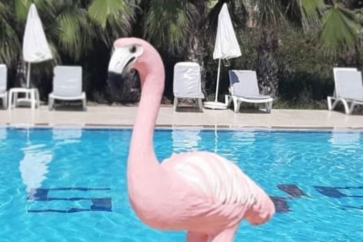 Pool 4 of 17