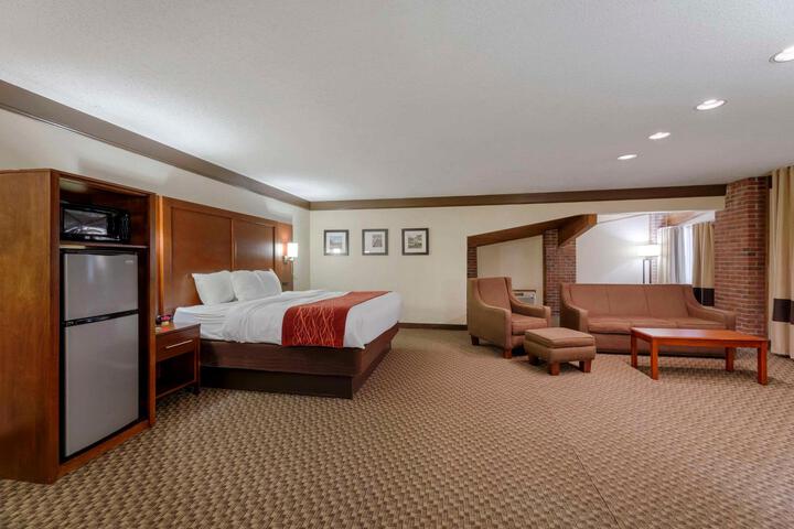 1 King Bed Accessible (11 of 16)