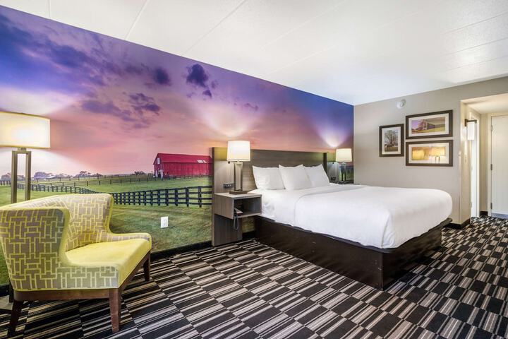 1 King Bed (2 of 6)