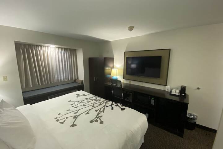 1 King Bed Accessible (13 of 15)