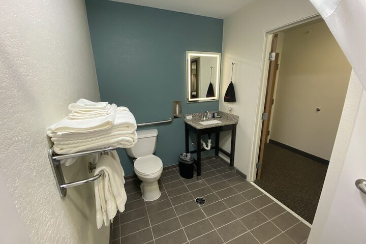1 King Bed Accessible (1 of 15)