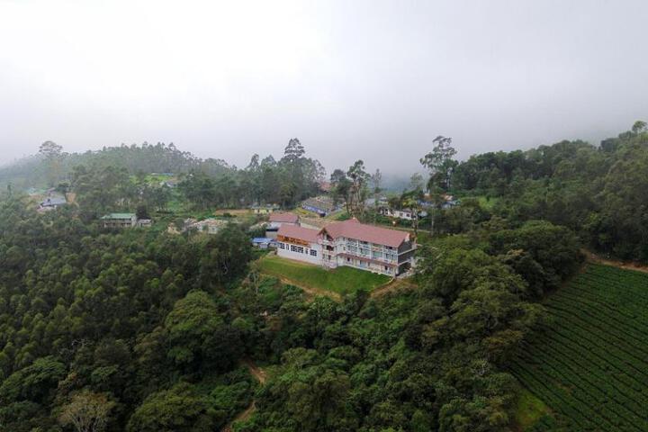 Tea Tree Munnar