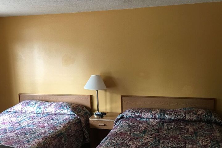 Photo 4