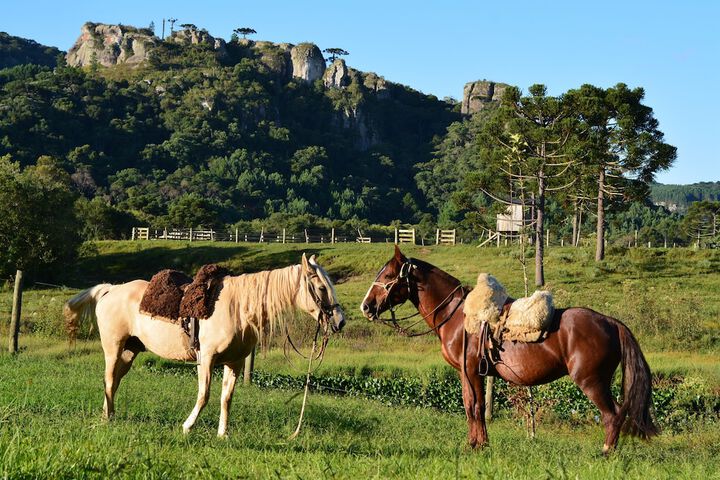 Hotel Fazenda Pedras Brancas in Lages