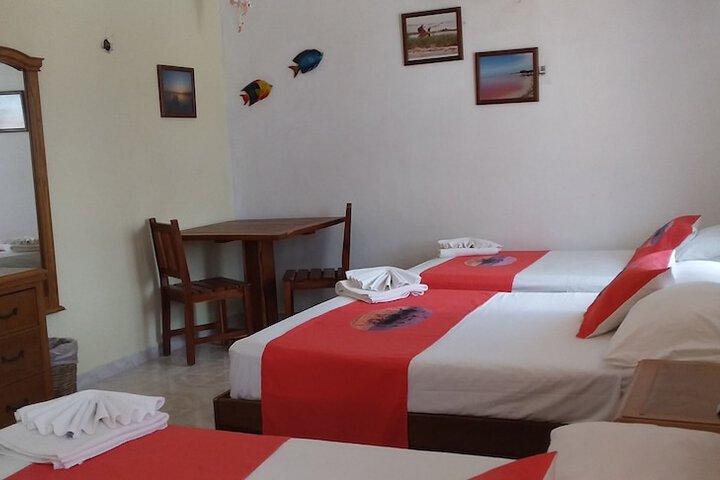 Room 6 of 49