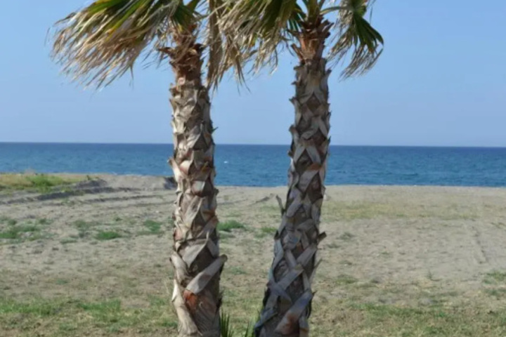 Beach 13 of 16
