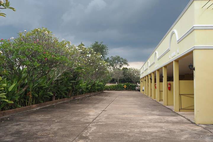 Property Grounds 13 of 13