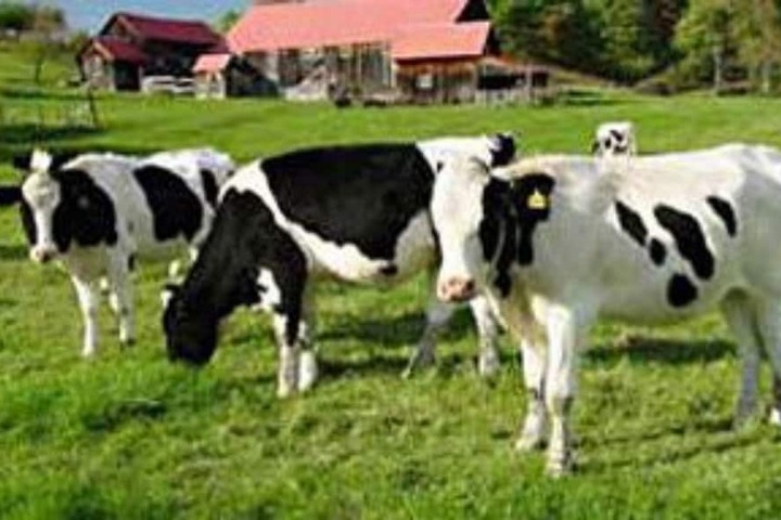 Property Grounds 54 of 63