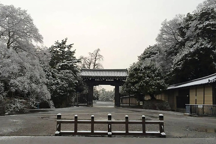 Photo 17