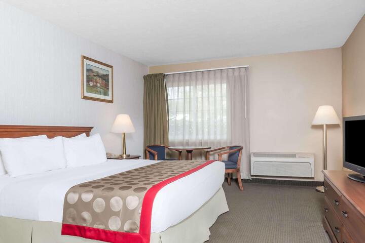 1 King Bed (9 of 12)
