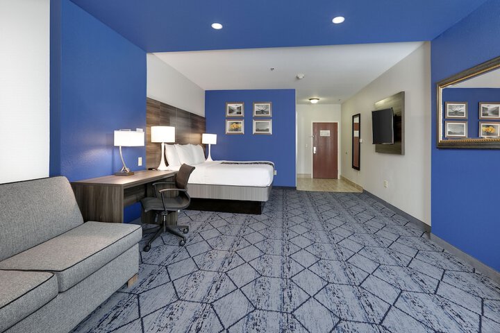 1 King Bed Accessible Room Tub with Grab Bars (22 of 23)