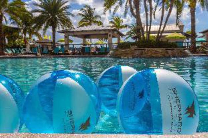 Pool 6 of 23