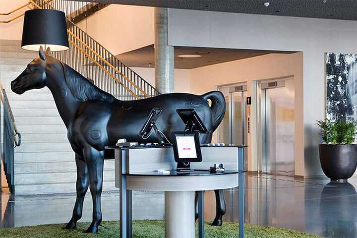 Entrance & Lobby