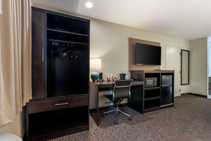 1 King Bed Suite (9 of 10)