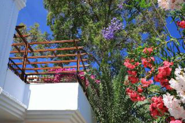 Photo 8
