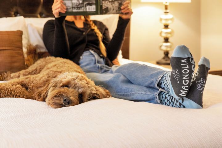 Pet-friendly