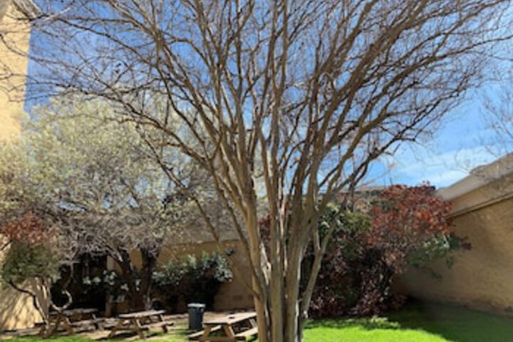 BBQ/picnic area