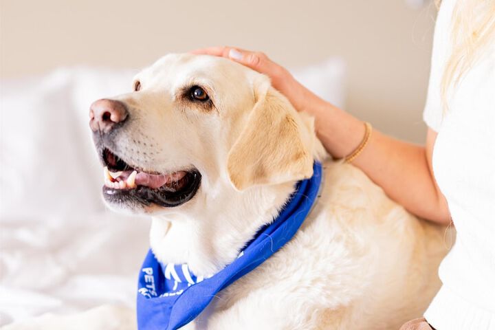 Pet-friendly amenities