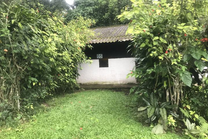 Property Grounds 19 of 25
