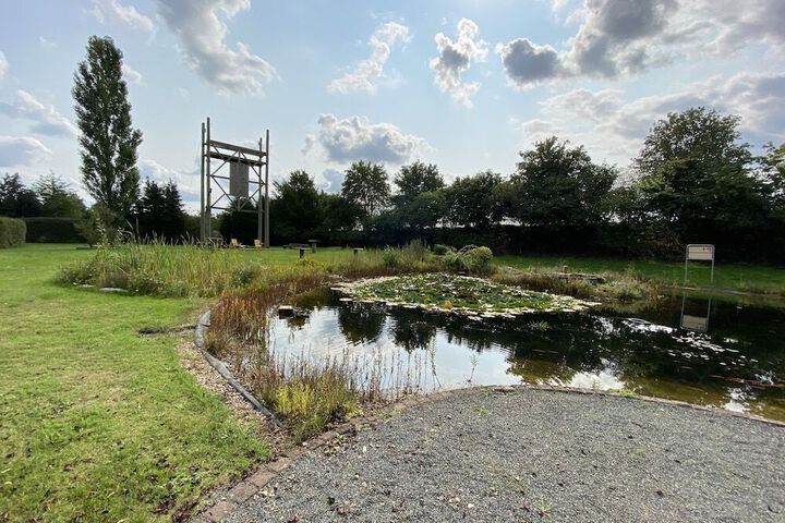 Photo 19