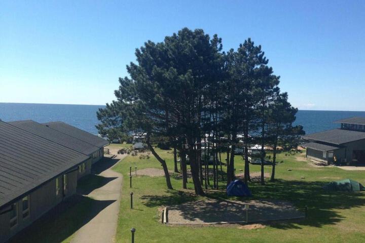 Beach Room