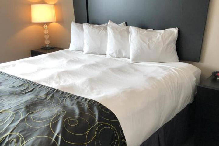 1 King Bed (7 of 17)