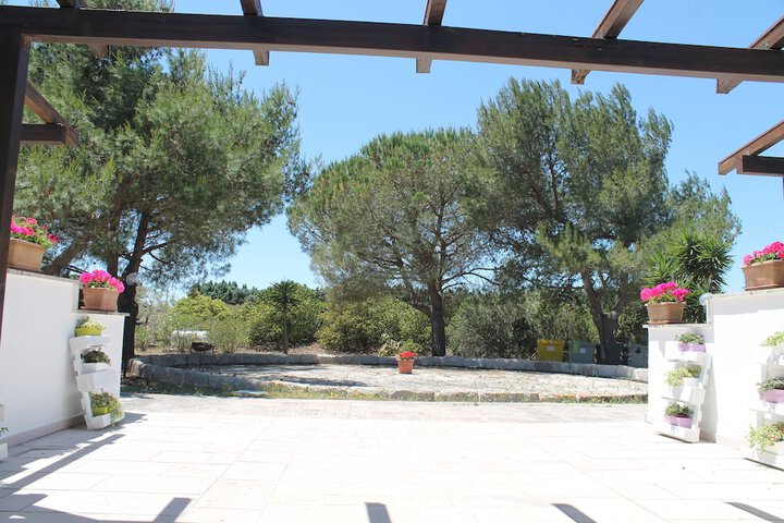 Terrace/Patio 19 of 55