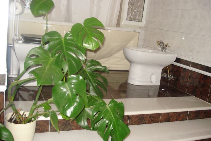Hotel Spa