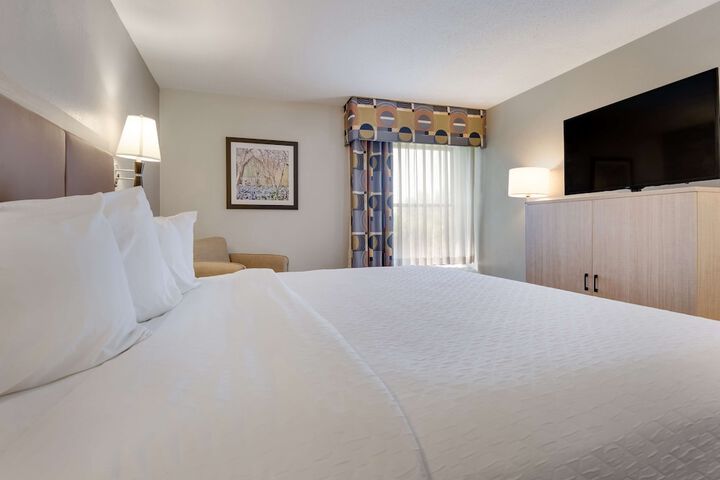 1 King Bed Flat Screen Television Microwave and Refrigerator High Speed Internet Accessible Full Breakfast (7 of 11)