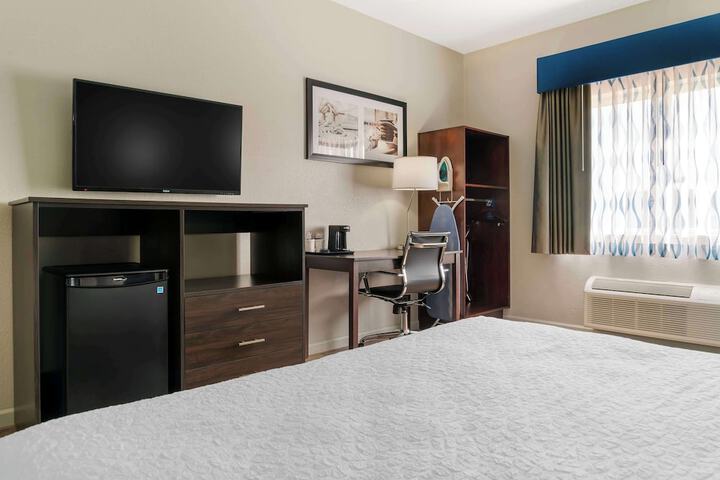 1 King Bed Flat Screen Television Refrigerator Full Breakfast (5 of 17)