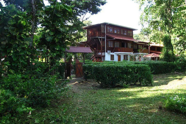 Photo 15