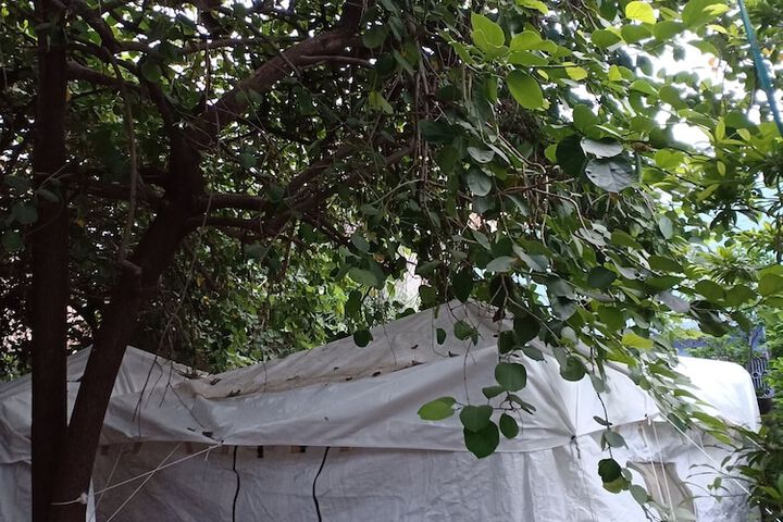 Property Grounds 24 of 36