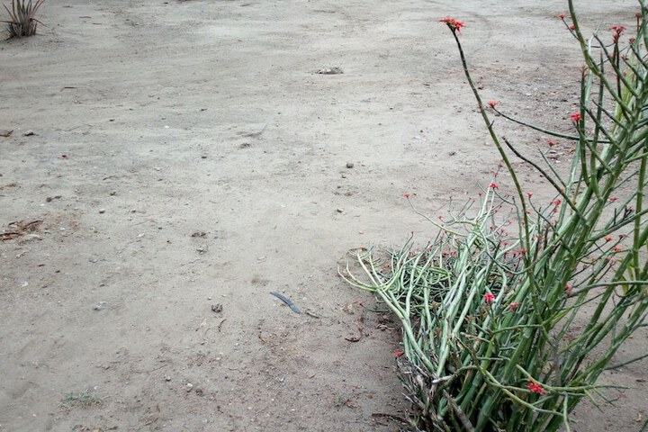 Property Grounds 52 of 58