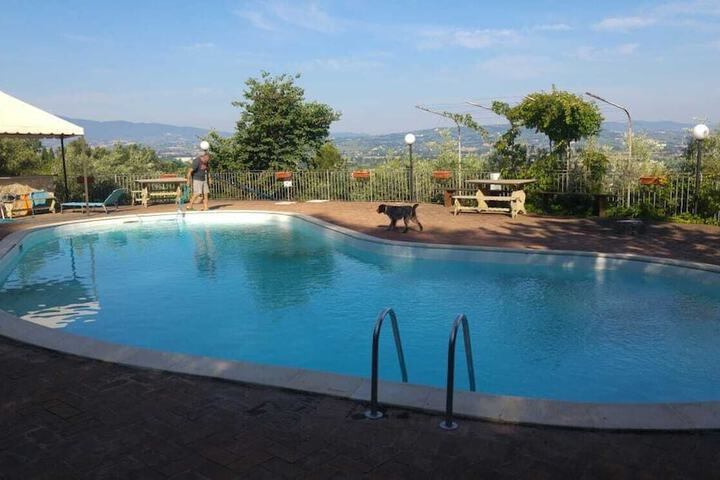 Pool 46 of 206