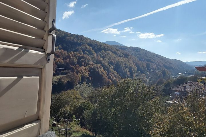 Hotel View 431 of 446