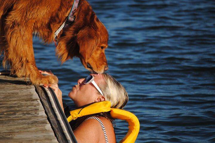 Pet Friendly 89 of 112