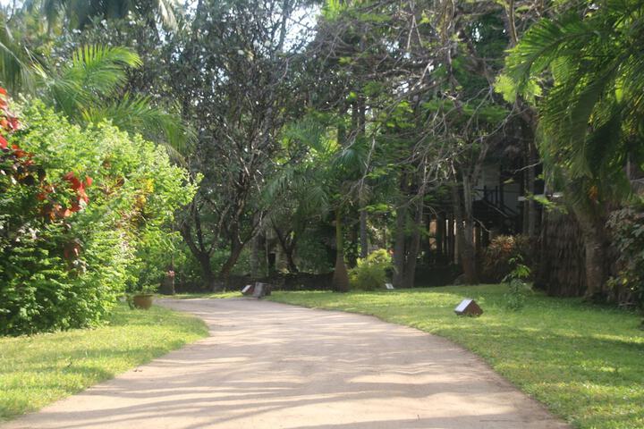 Property Grounds 30 of 45