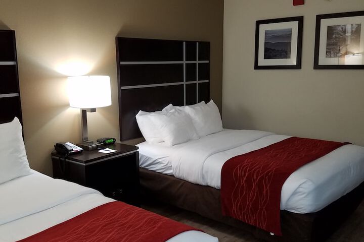 Standard Room, King or Two Doubles (4 of 11)